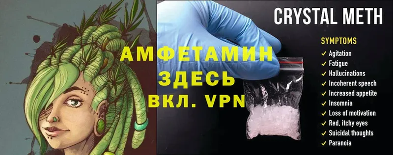 Amphetamine Розовый  Мезень 